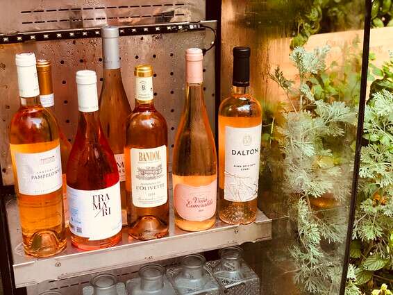 חודש רוזה בקפה אירופה // צילום: חיים דוד